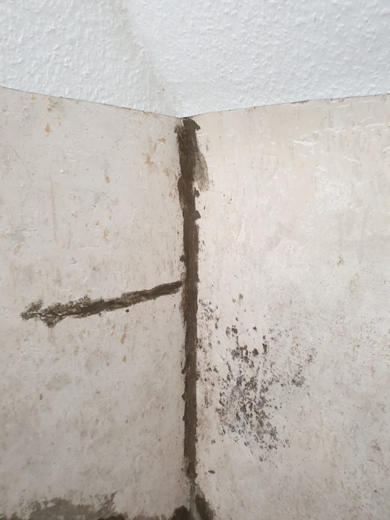 thor protect uszczelnianie piwnicy doświadczenia